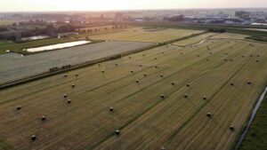 Herfstwandeling Gorinchem